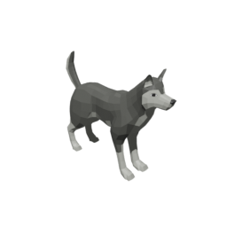 Husky